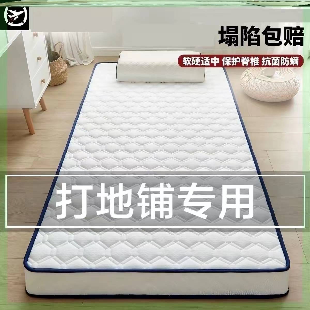 防潮直接睡地上垫家用榻榻米垫子