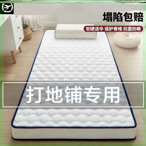 防潮直接睡地上垫家用榻榻米垫子