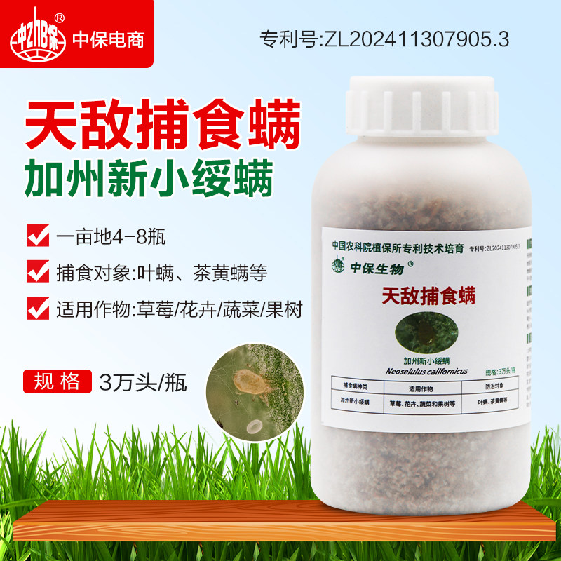 捕食螨 加州新小绥螨草莓蔬菜大棚月季生态种植红蜘蛛白蜘蛛天敌