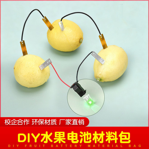 水果电池做实验DIY学校教具