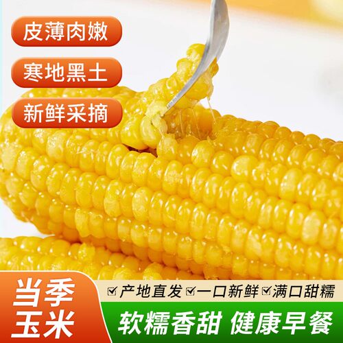 【一整箱12棒玉米7斤左右】东北玉米新鲜糯玉米棒装玉米代餐甜糯
