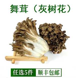 新鲜灰树花舞茸150g*3盒 食用菌灰树菇高山栗蘑菌菇 高山舞茸菌