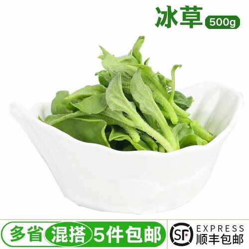 新鲜冰草蔬菜即食生吃非洲冰草沙拉蔬菜沙拉生菜健身500g