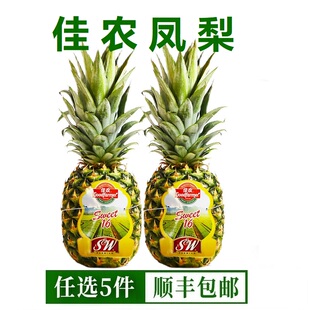 佳农SW凤梨菲律宾进口新鲜热带水果无眼金菠萝削皮即食饮品1000g