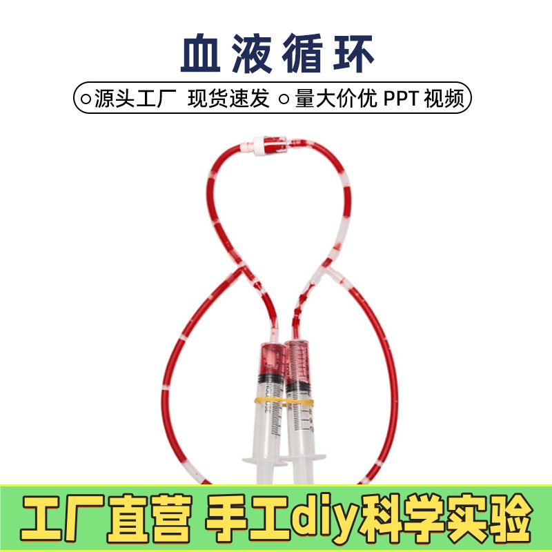 DIY人体血液循环小学生科学实验器材模型幼儿园科技小制作EC29