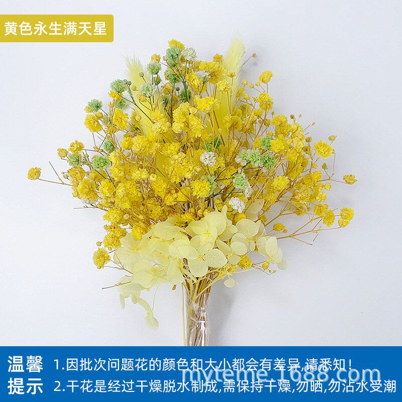 天然干花干果植物磁力冰箱贴种子装饰手工DIY活动团建文创材料包