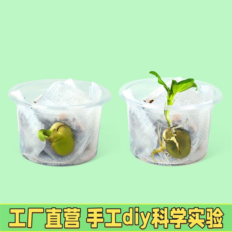 儿童种植小盆栽向日葵种子学生实验观察盒益智四季易活花种子套装