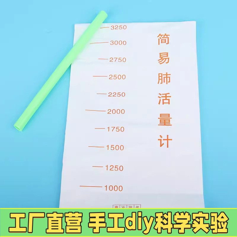 肺活量小学生一次性体测试仪测量袋儿童训练器练习神器吹嘴同步教
