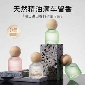 车载衣柜两用香薰除味挂