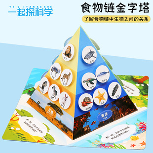科学实验食物链金字塔diy科技小制作 儿童手工学生生物材料包