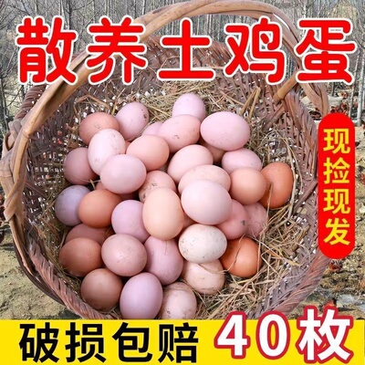 农家正宗土鸡蛋散养农村笨鸡蛋新鲜营养40枚柴鸡蛋整箱批发现捡现