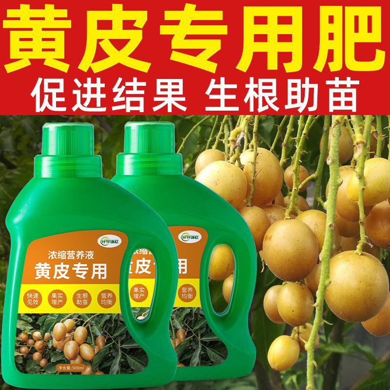 黄皮树肥料黄皮果专用肥黄皮营养液复合果树开花结果有机水溶促果