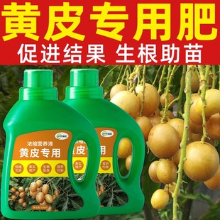 黄皮树肥料黄皮果专用肥黄皮营养液复合果树开花结果有机水溶促果