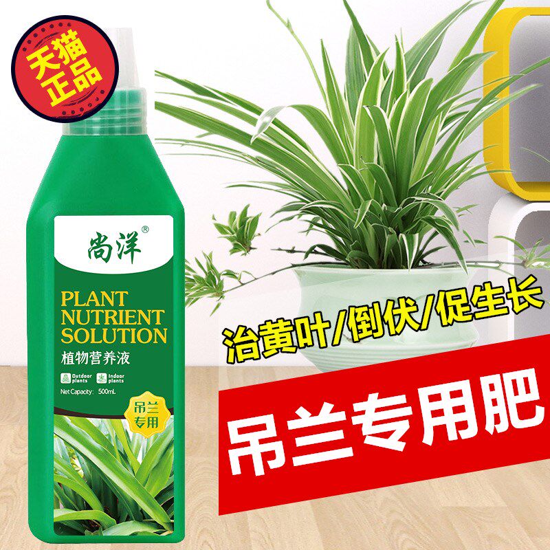 吊兰专用肥料金边吊兰营养液家用土水培养花肥料盆栽通用型液体肥