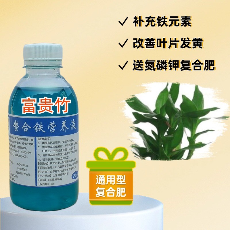 富贵竹专用螯合铁营养液文昌竹家办公室盆栽水培植物叶片发黄补铁