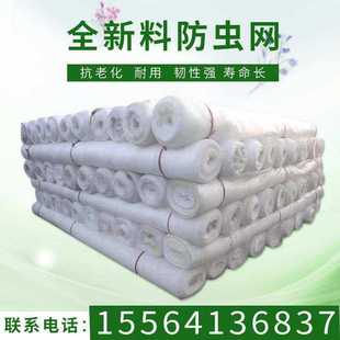 农用防虫网大棚蔬菜网白色纱窗网60目80目尼龙网防鸟防蚊养殖围网