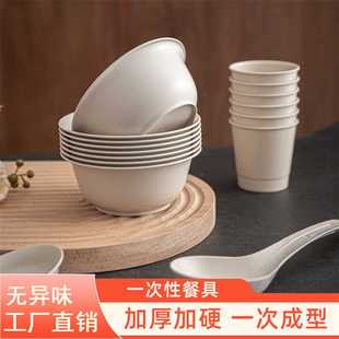 户外一次性餐具旅行野餐露营烧烤派对家用高颜值碗碟盘套裝整箱