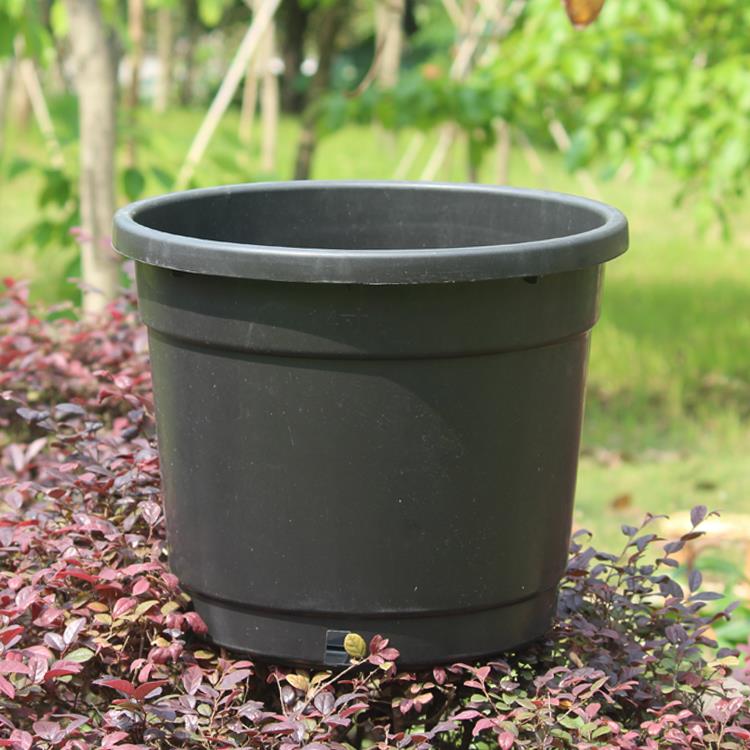 圆形黑色反边侧孔直桶高加仑塑料花盆大中小号种树绣球绿植送托盘