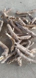 五加皮中药材正宗无硫野生五加皮滋补中草药泡酒地骨皮干货香料