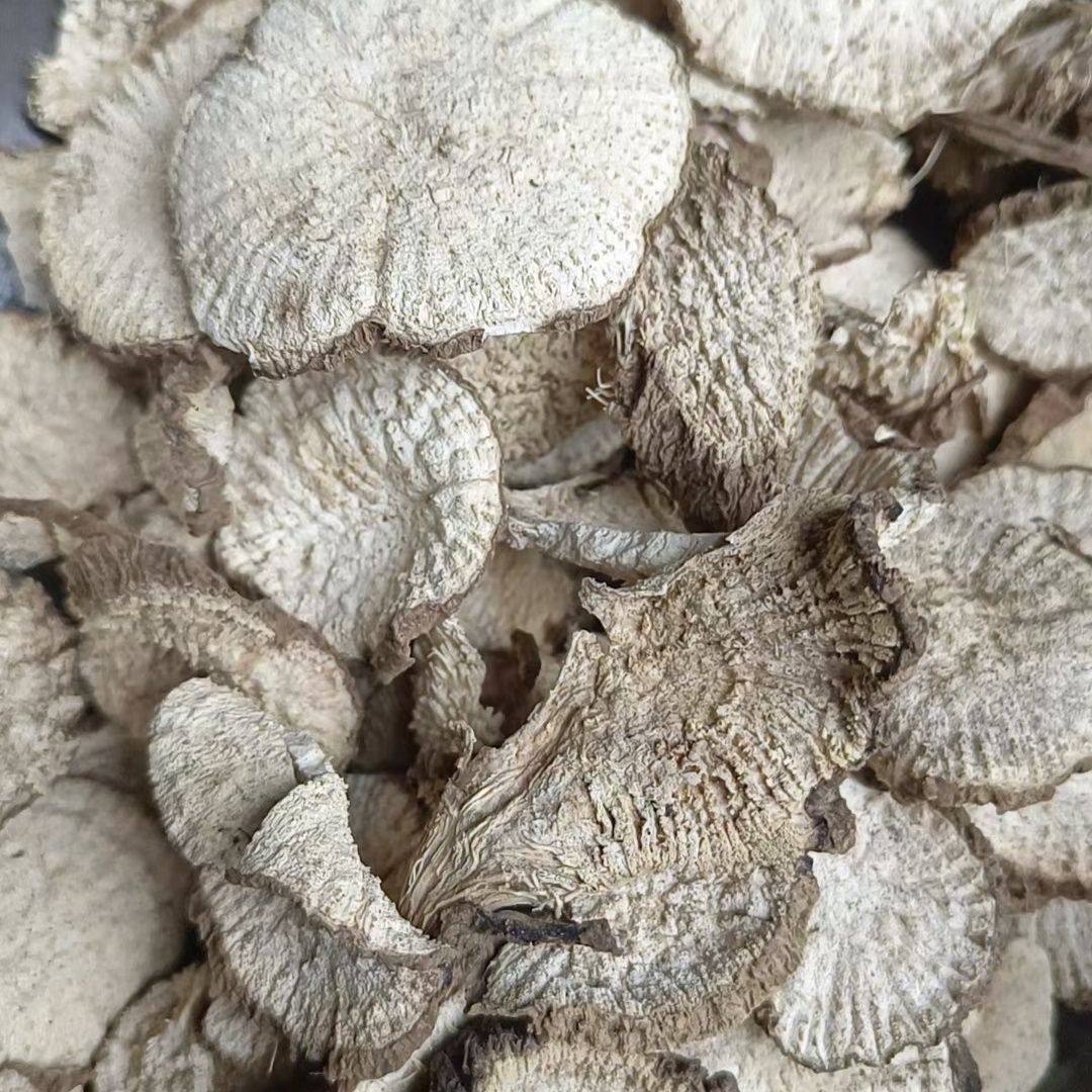 秦岭野生天花粉新货天花粉中草本科瓜蒌栝楼根片粉晒干天花粉干货,传统滋补营养品,其他药食同源食品,淘宝优惠券,粉丝福利购,淘宝优惠卷