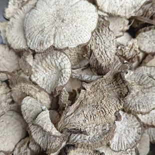 秦岭野生天花粉新货天花粉中草本科瓜蒌栝楼根片粉晒干天花粉干货