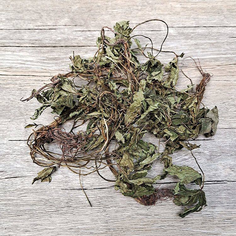 大叶肺心草野生肺心草干货