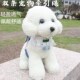 狗狗牵引绳小型犬比熊泰迪博美约克夏牵引绳猫咪外出遛狗绳子可爱