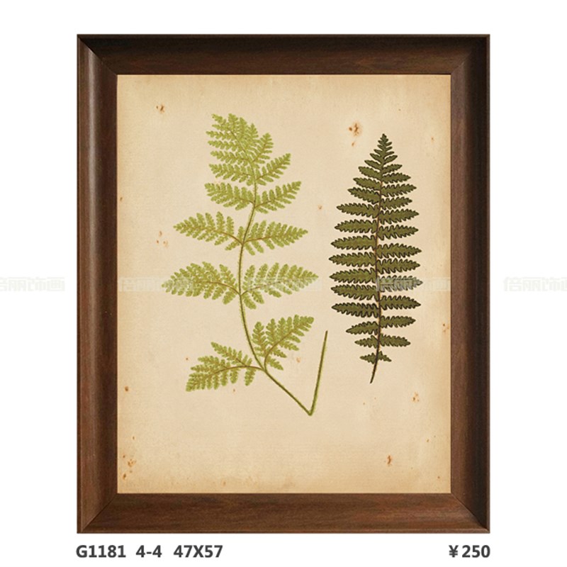 美式植物树叶蕨类客厅饭厅卧室玄关书房家居店装饰画棕色框画图片