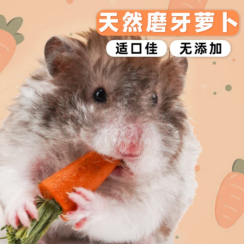 速发仓鼠磨牙棒胡萝卜仓鼠粮食零食金丝熊饲料兔子可食用造景用品