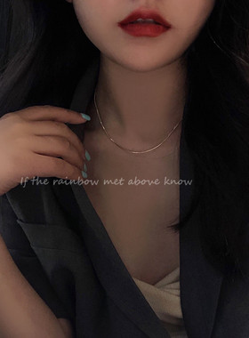 现货速发简约百搭银色蛇骨颈链2021年新款小众不规则合金项链冷淡