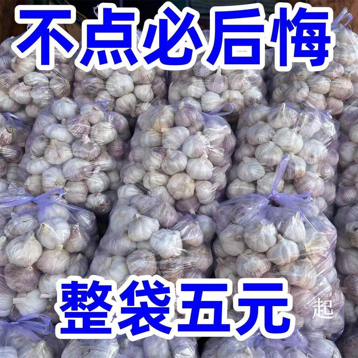 新货大蒜头干蒜5斤山东紫皮干鲜独头蒜多瓣白皮10斤装包邮农家新