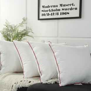 一对装】可水洗抱枕芯沙发靠垫芯腰靠枕芯子45 50 方形内胆芯子