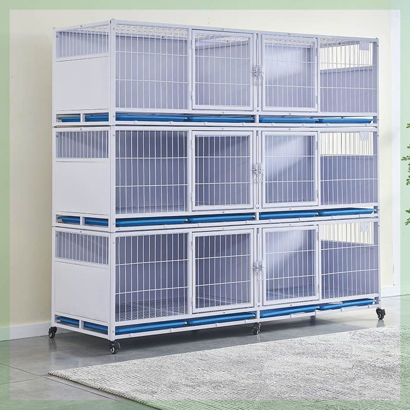 速发加品新粗猫笼狗笼展示寄犬隔离繁育玻璃猫柜小型养店医院