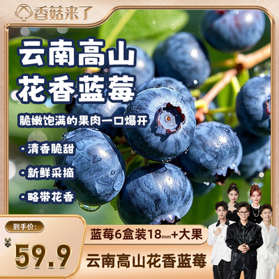 【香菇来了】蓝莓现摘现发当季水果甜脆多汁顺丰京东发货