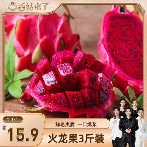 红心火龙果现摘当季超甜大果整箱
