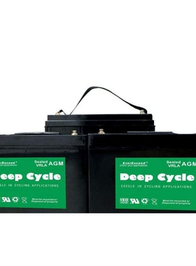 everexceed深循环AGM电池DP-1225012v250AH UPS电源蓄电池
