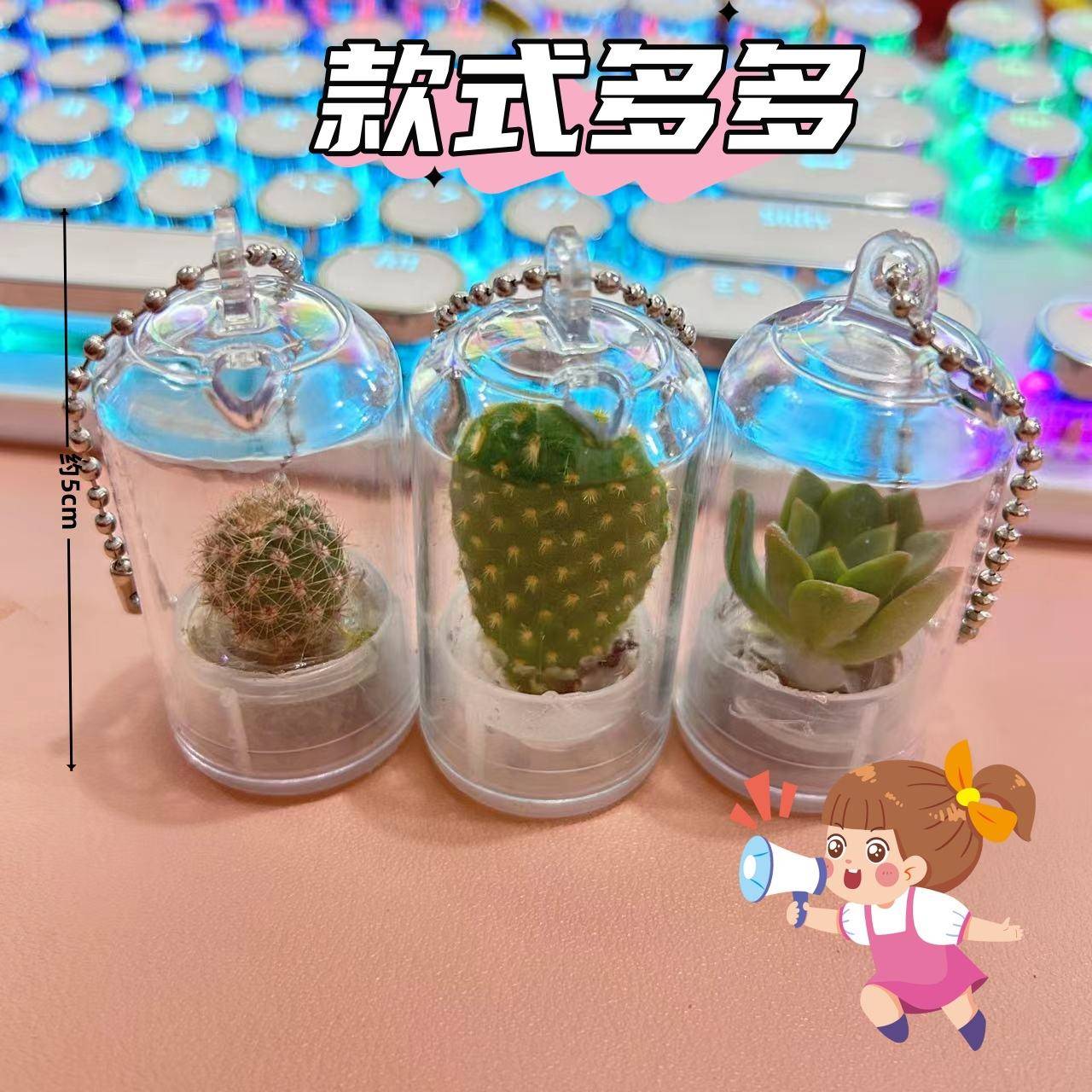 活植物随身多肉学生钥匙扣迷你盆栽挂件桌面微景观生态瓶创意礼品