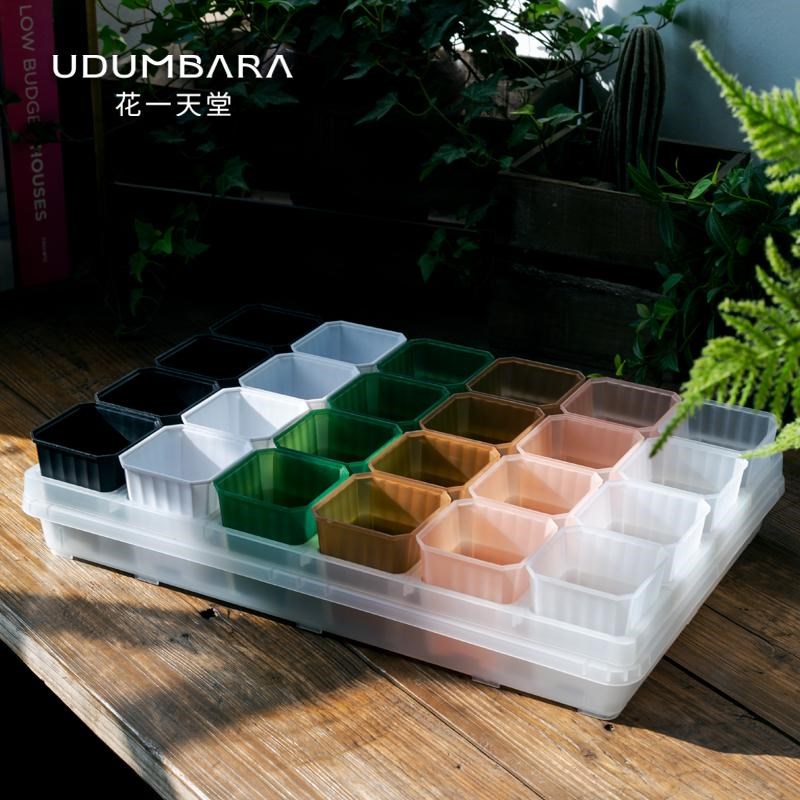 速发花一透半7育多肉塑料花盆托架浸水盘闷养台控养方苗播种盘