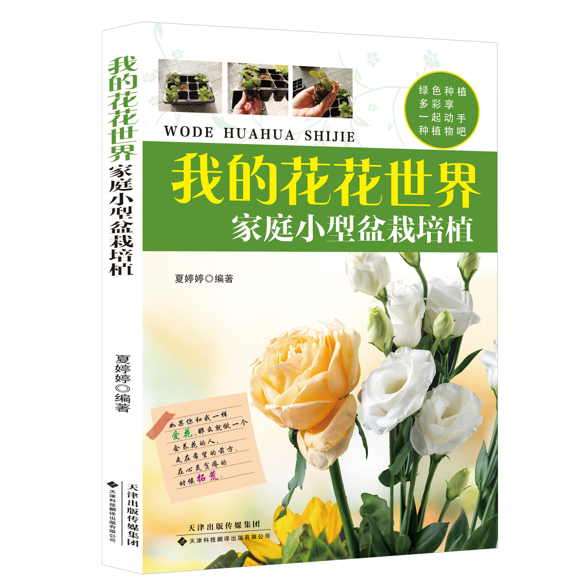 正版我的花花世界 家庭小型盆栽培植 多种小型盆栽入门培育书籍