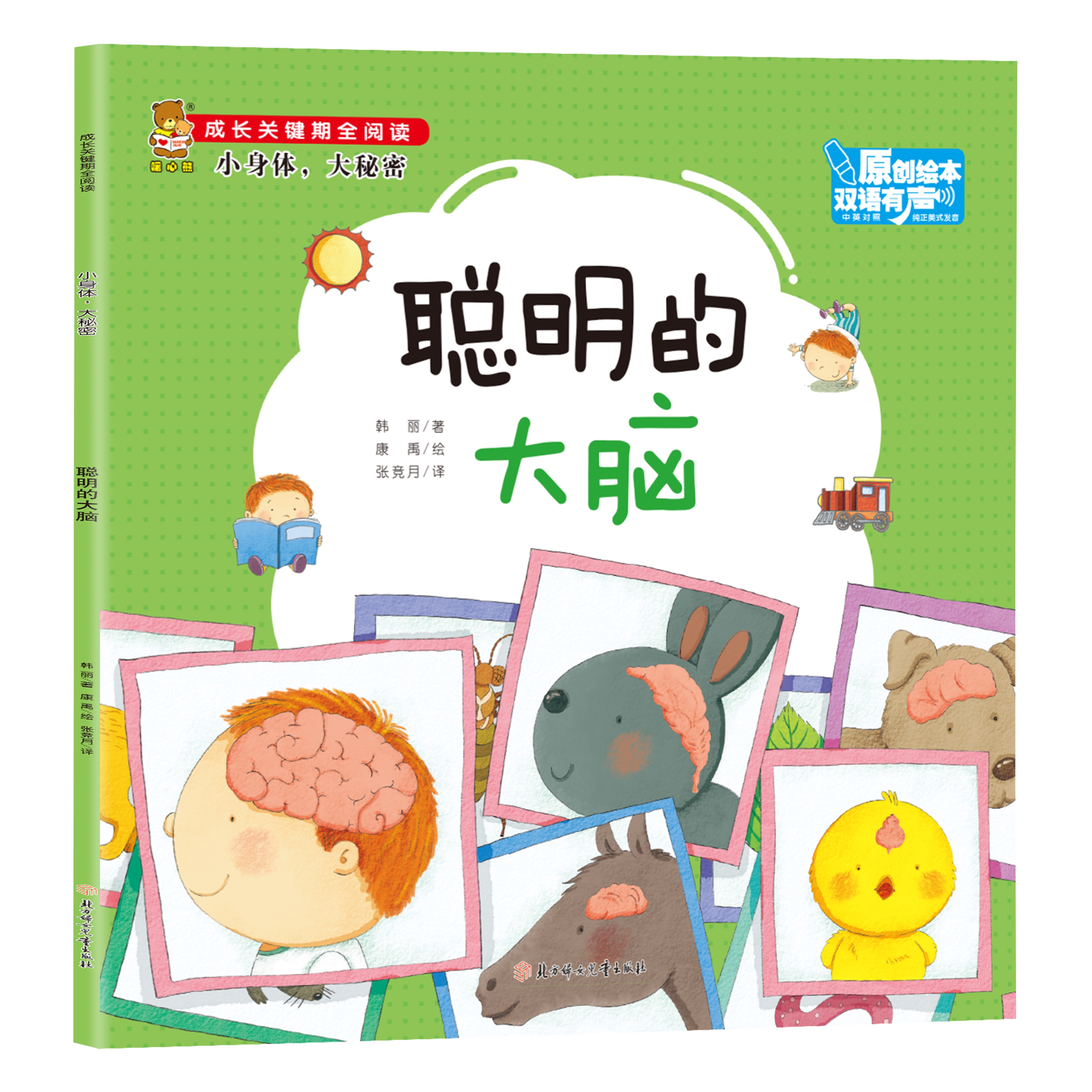 正版儿童 成长关键期阅读系列:小身体,大秘密 聪明的大脑阅读书籍