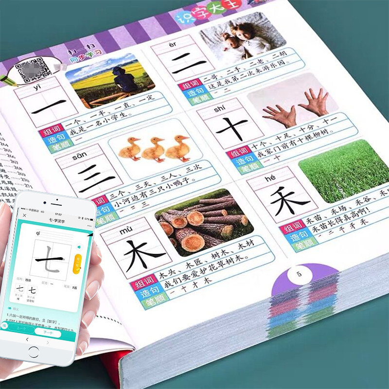 儿童识字书幼儿认字书看图识字大王启蒙早教学前班幼儿园宝宝认字