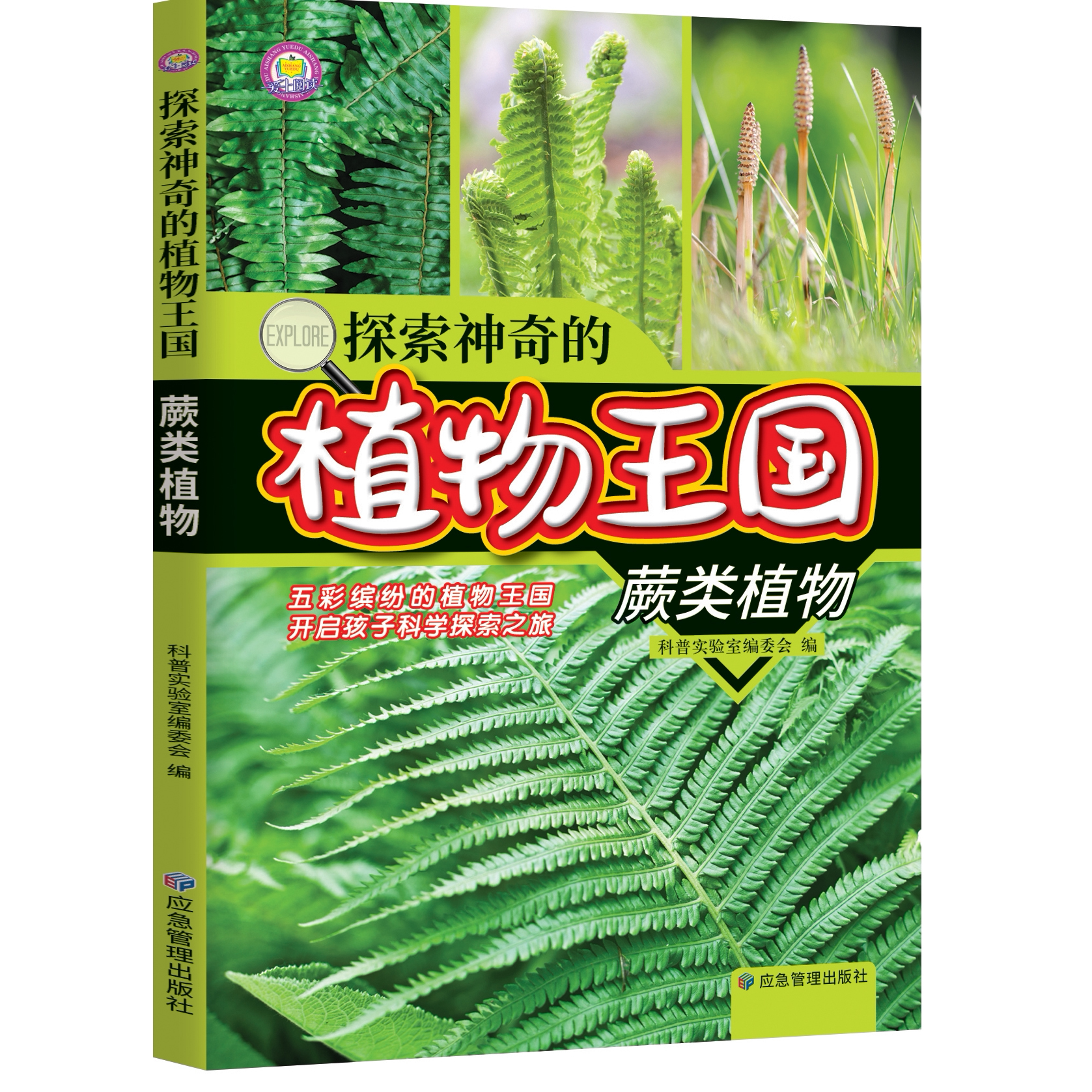 探索神奇的植物王国-蕨类植物 小学生课外阅读经典百科科普书大全