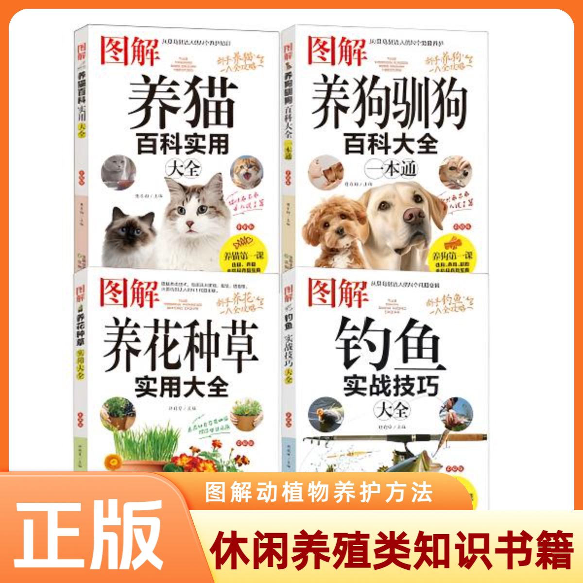 图解钓鱼 养狗 养花 养猫实战技巧大全 休闲养殖读物 动植物科普