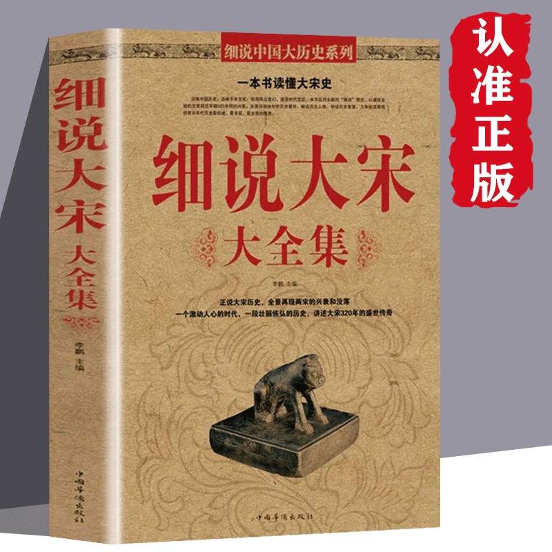 细说大宋大全集中国历史读物宋朝北宋和南宋文学文化典藏历史知识