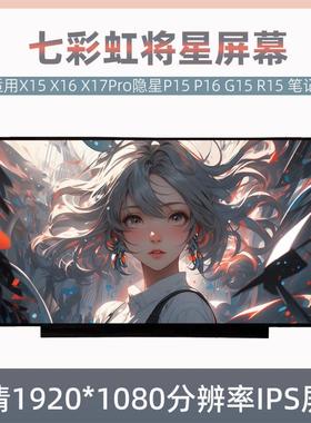 七彩虹将星X15 X16 X17Pro隐星P15 P16 G15 R15 R16pro笔记本屏幕