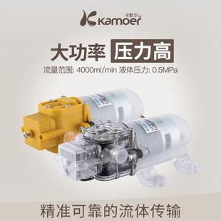 微型水泵电动隔膜泵12v小型抽水泵家用增压泵24v高压喷雾泵自吸泵