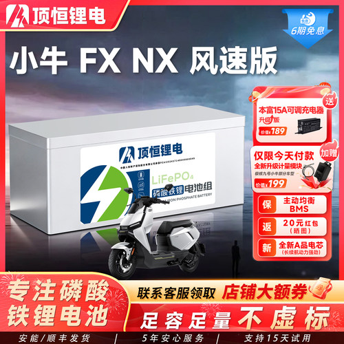 顶恒适用小牛FX/NT磷酸铁锂电池