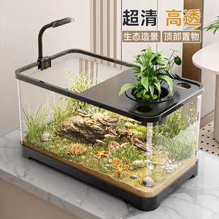 鱼缸小型客厅2025新款 家用造景全套生态水缸带盖透明桌面养金鱼缸