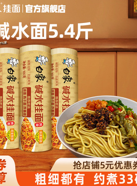 白象碱水面热干面碱面炒面拌面专用重庆小面凉面燃面商用面条挂面
