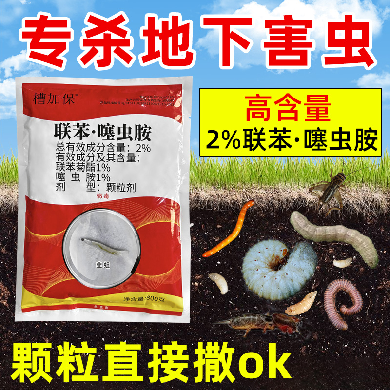 联苯噻虫胺铵防虫颗粒菜地土壤地下害虫专用农药新辛硫磷杀虫剂